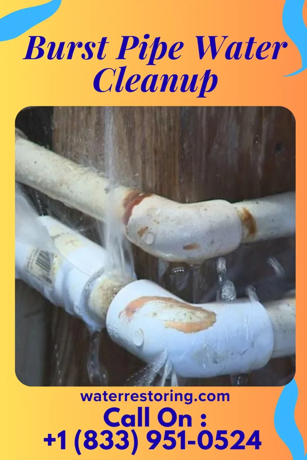 Burst Pipe Water Cleanup in Foley, AL
