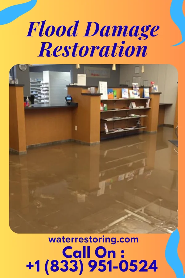Flood Damage Restoration in Foley, AL
